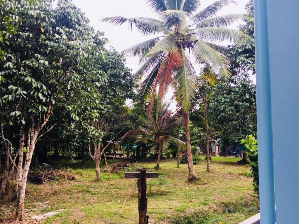 Baan Kalaya Garden Apartment Ban Muang Mai Exterior photo